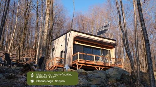 Eastman House | Cabin Zoobox 79