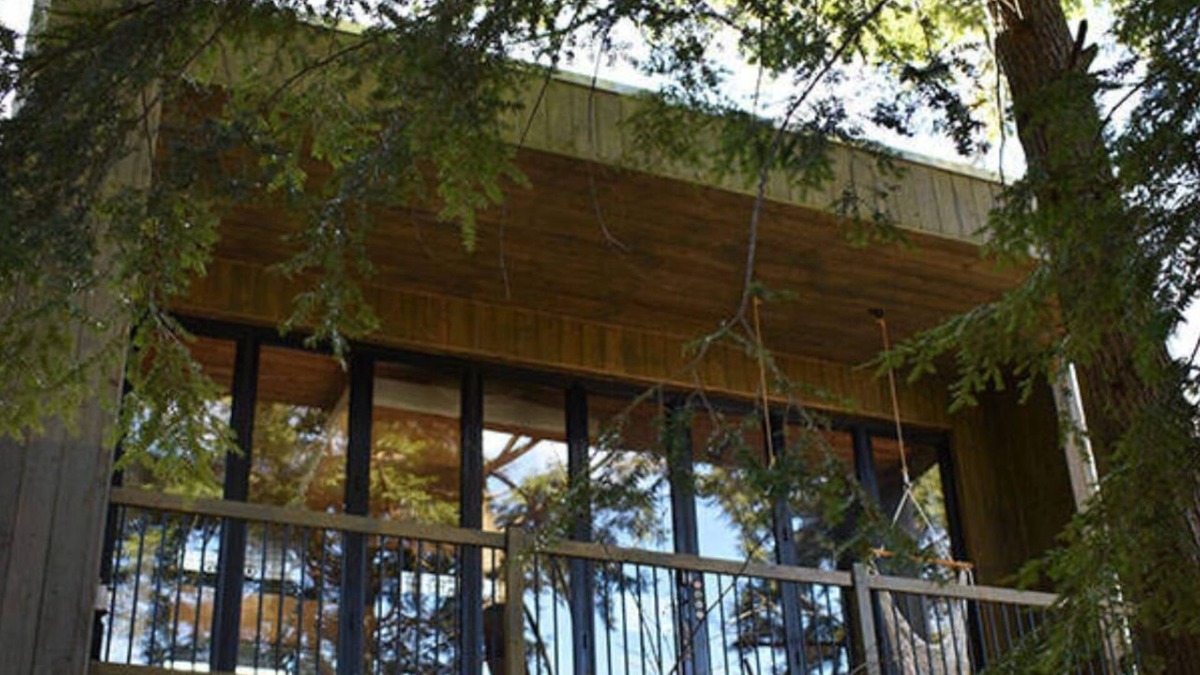 Eastman Cabin | Cabin Zoobox 80 Summa