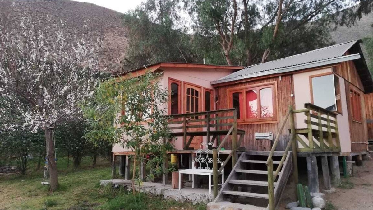 Vicuna Cabin | Cabins under the mountain mamayuca