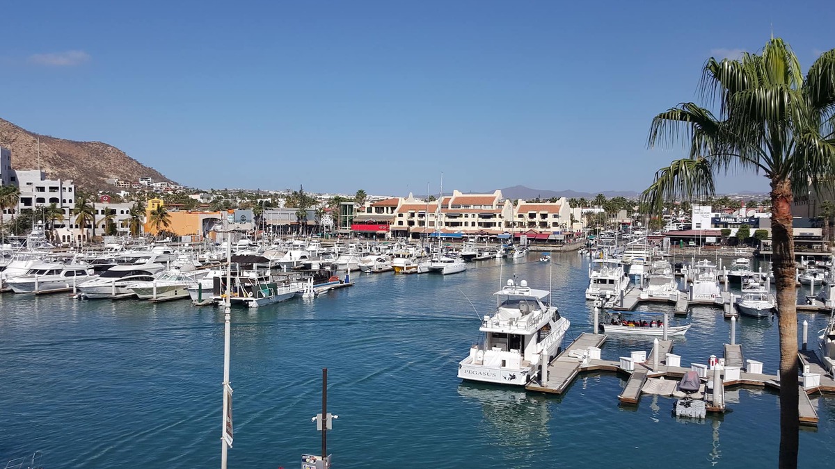 Centro Condo | Cabo San Lucas Marina Studio Suite - Great Location & Views!