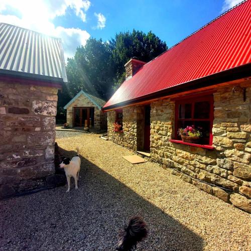 Fivemilebourne House | Caitríona's Cottages - Adult Only Pet Friendly - Hot Tub, Sauna, Pool - Sleeps 4