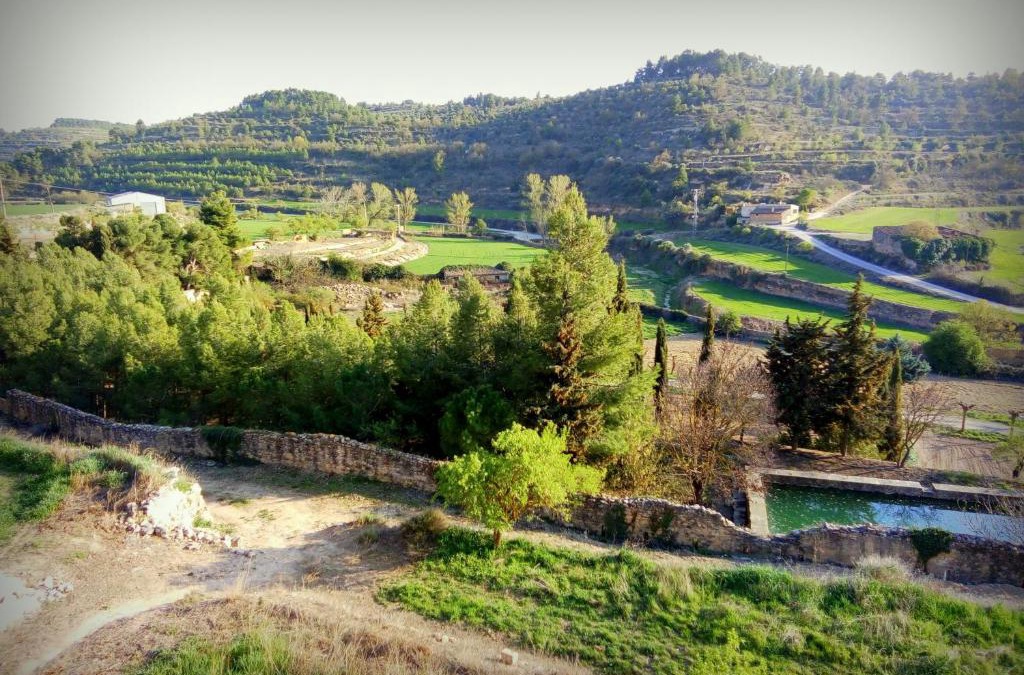Vallbona de les Monges House | Cal Baster