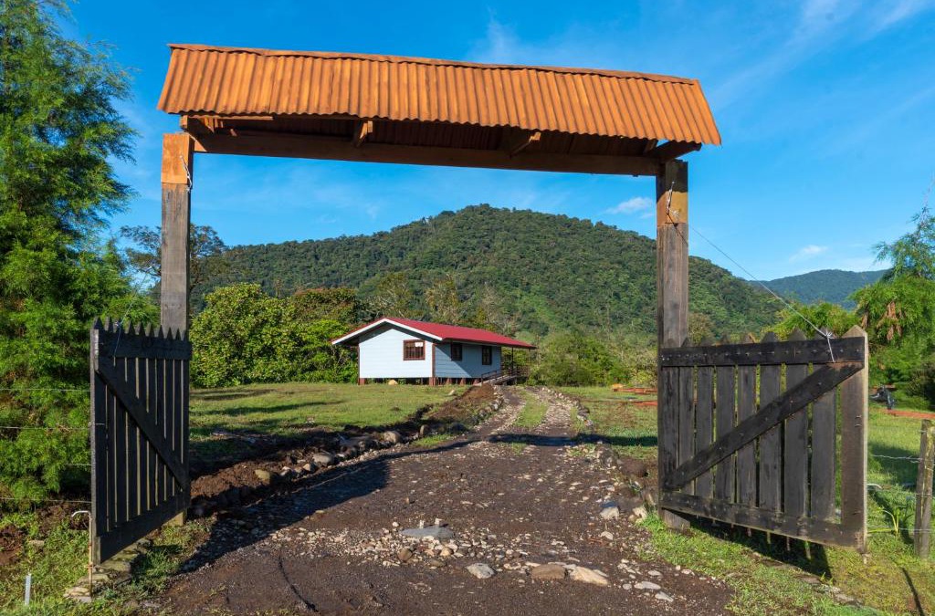 Toro Amarillo Cabin | Calas Lodge
