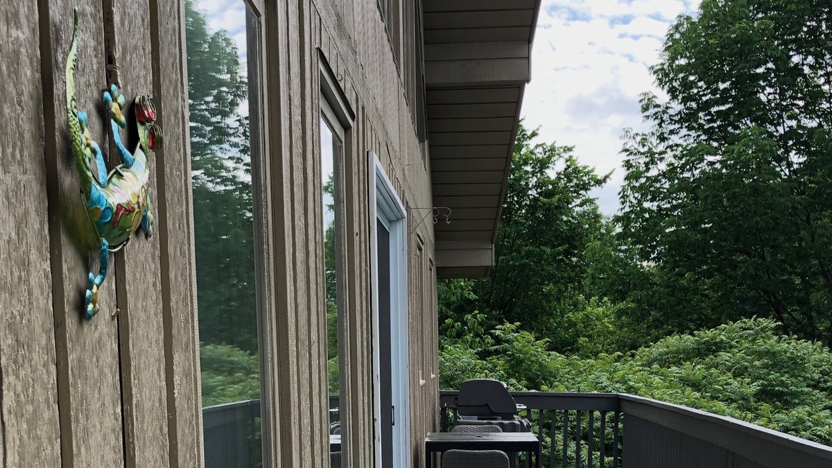 Calabogie House | CALAVIEW CHALET for work or play, your 4-season retreat to nature