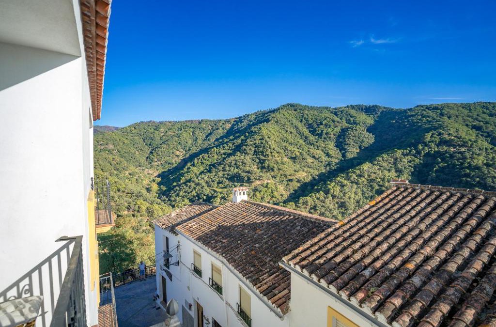 Jubrique Apartment | Calle Cruz