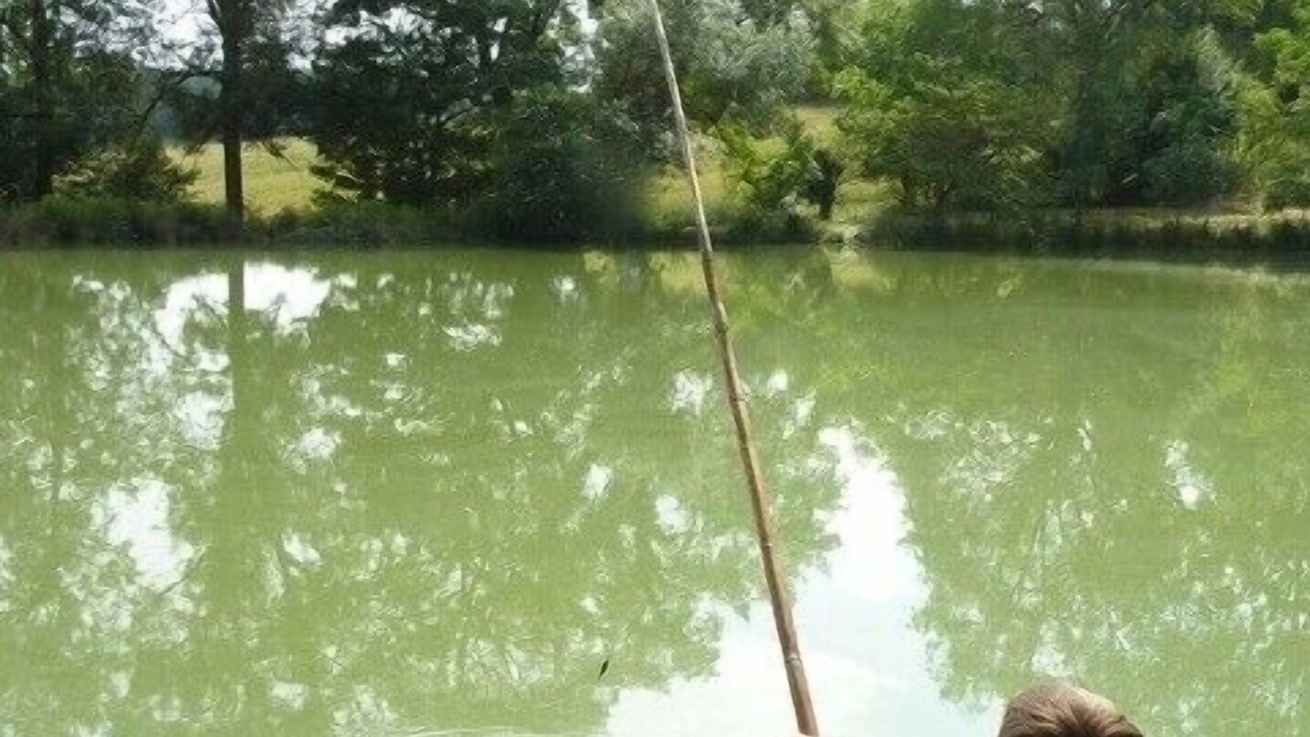 Marsolan Cottage | Calm, Private Lake For Fishing, Near Lectoure Spa