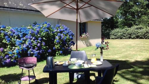 Saint-Grave Apartment | Calme et nature