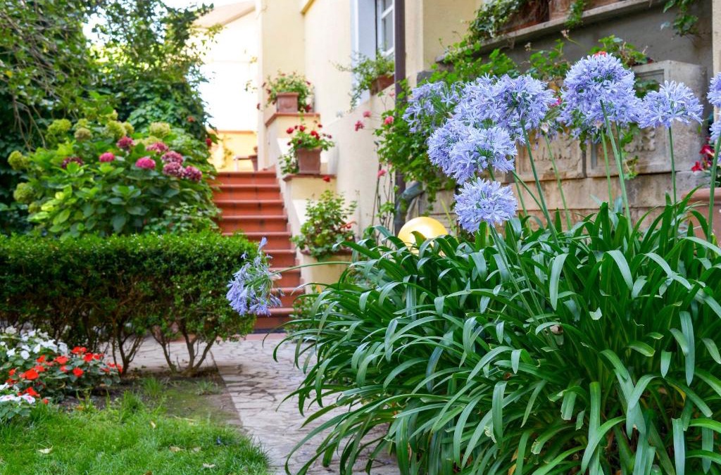 Tempio Pausania House | Calycanto