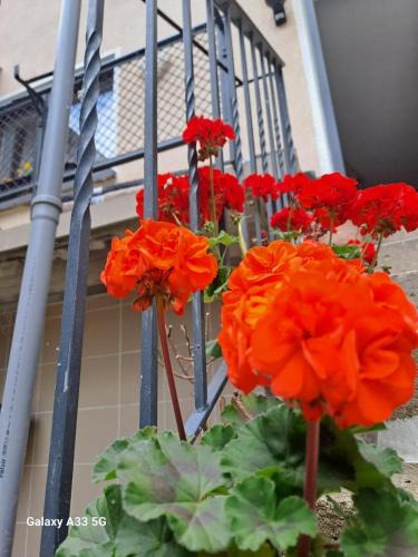 Sulzthal House | Camelia's Unterkunft