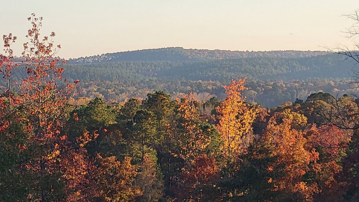 Kirby RV Rental | Camp less than a mile from Kirby Landing, Cowhide Cove Mountain Views