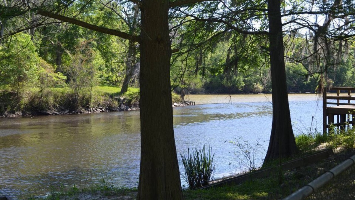 Modeste House | Camp on Bayou Manchac