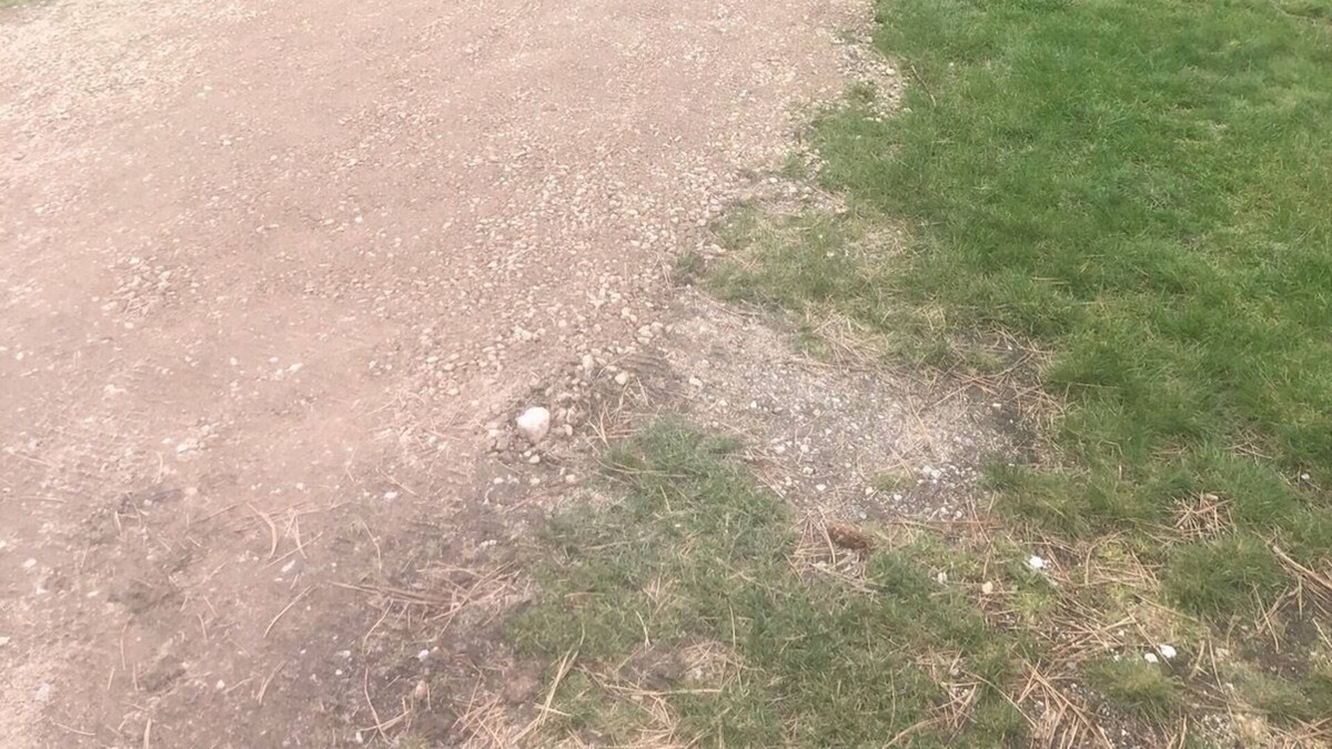 Ravalli County Other | CAMP SULA - RV SITE # 16 - back In