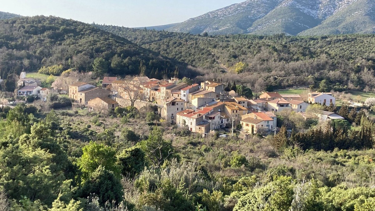 Feuilla House | Campagne Méditerranéenne