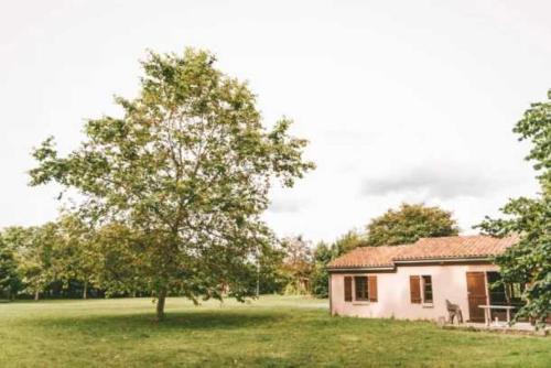 Moncontour Other | Camping 3 étoiles - eebbhd