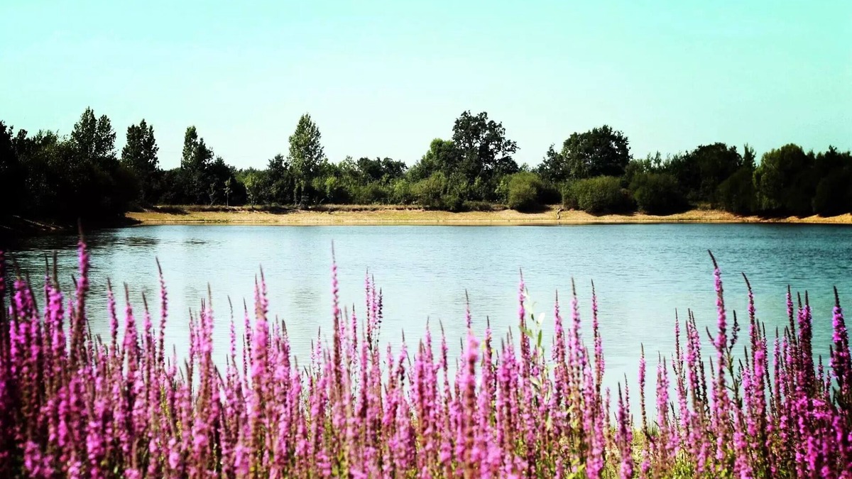 Sainte-Foy House | Camping Au Pré de l'Etang * - Mobile home IBIZA DUO 2 bedrooms 4 people
