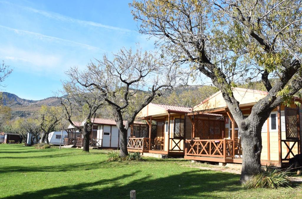 Loarre Other | Camping Castillo de Loarre