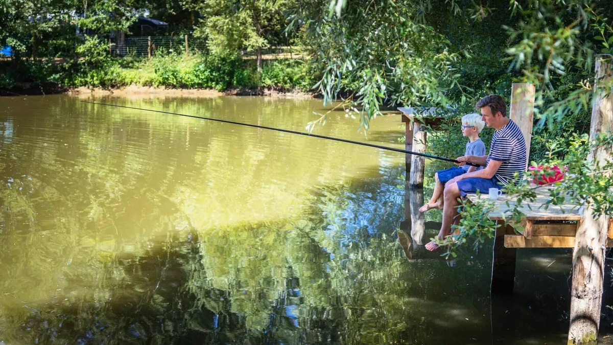 Brissac-Quince House | Camping de l'Etang Sites and Landscapes * - Privilege Cottage 3 ch. - TV - LV 8 persons