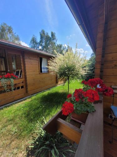 Trzebiel Cabin | Camping Family