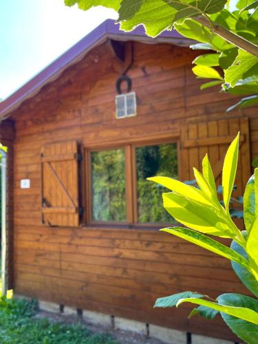 Angicourt Other | Camping la Faloise - Chalet 1 chambre