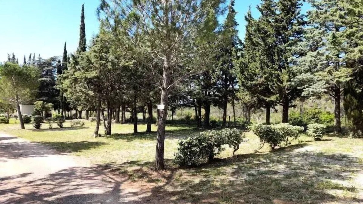 Fabrezan House | Camping Le Pinada * - Mobil Home TULIPE - 2 bedrooms - 28 m2 4 people