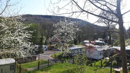 Echternach Ski Chalet | Camping Officiel Wollefsschlucht Echternach