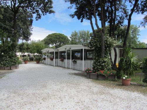 Calambrone Other | Camping Pineta