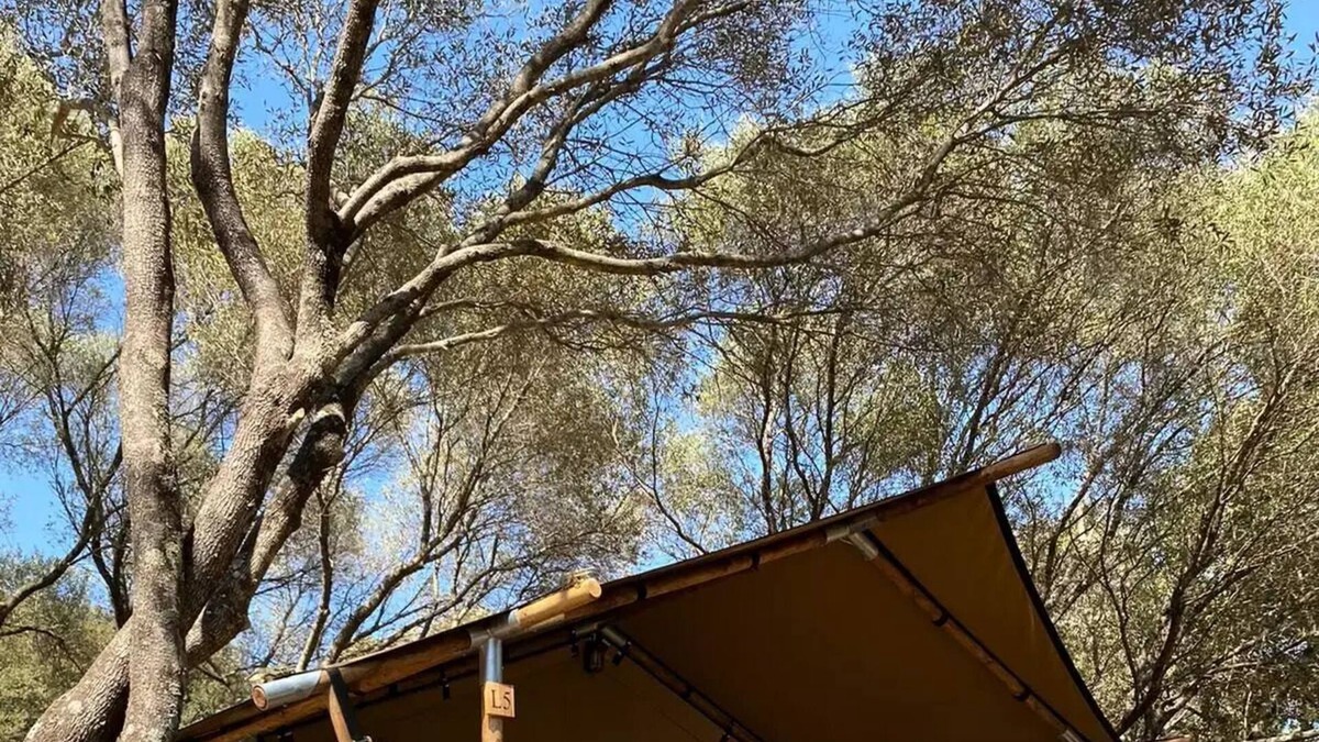 Vetricella House | Camping Vigna Maggiore * - LODGE TENT without bathroom! 5 people