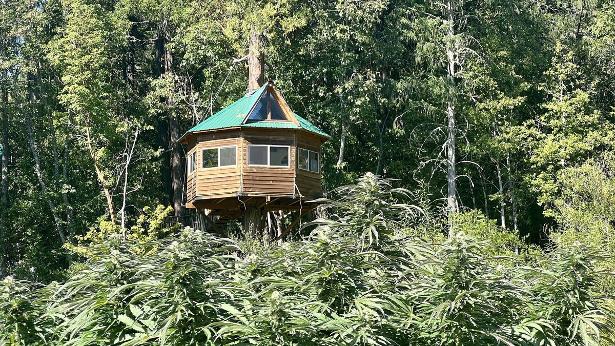 Cave Junction Cabin | Cannabis friendly treehouse with amazing mountain Views!