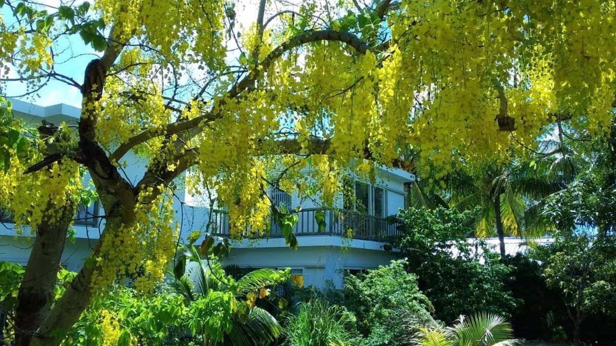 Bain Boeuf Apartment | Cap Heureux Villas