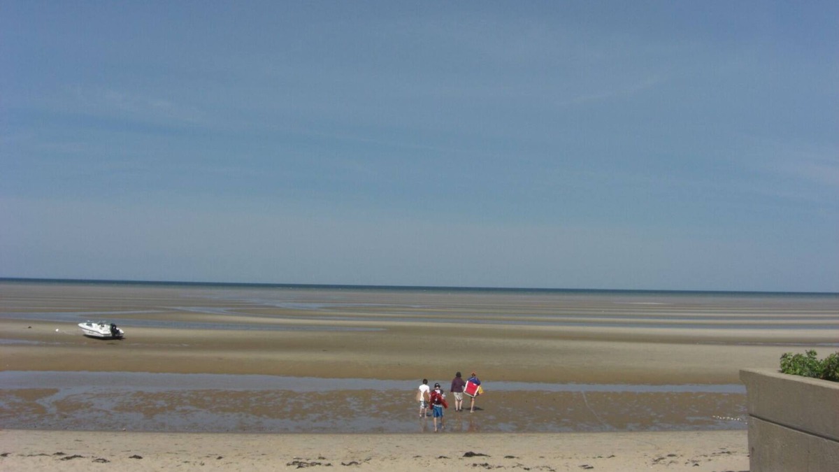 Eastham House | Cape Cod Great Pond Nature Lover's House Rental in Eastham