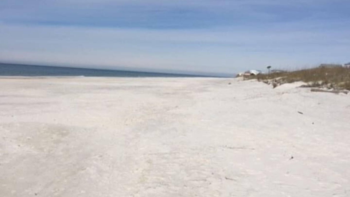 Seagrass House | Cape San Blas, FL. Private Heated Pool. Steps to the Beach!