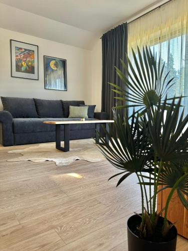 Vladeni Apartment | Cara Grand Chalet