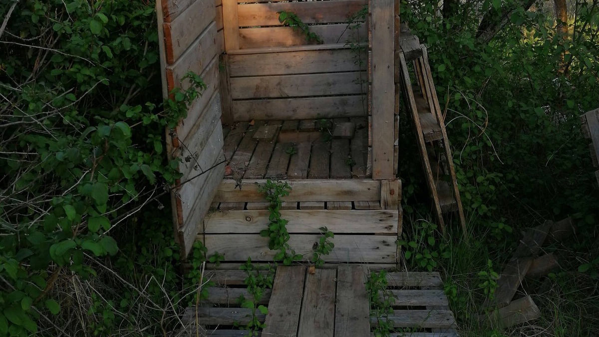 Zaragoza House | caravan in my garden