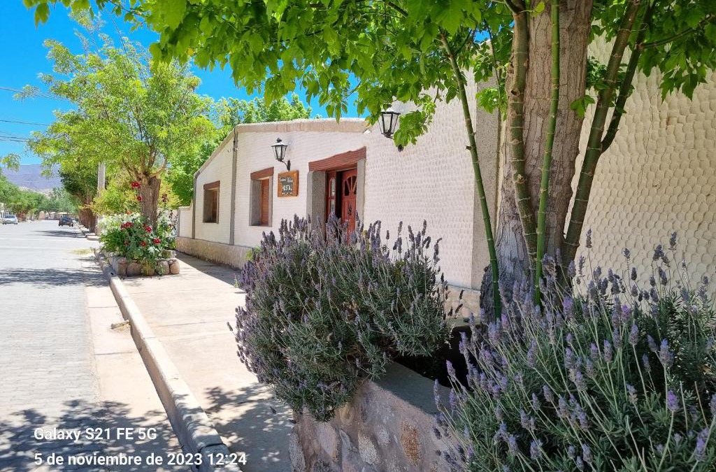 Molinos Bed & Breakfast | Cardones de Molinos
