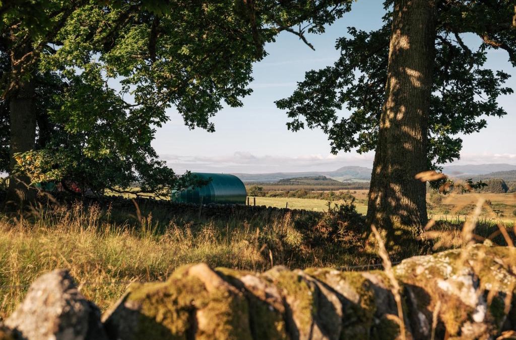 Kippen Other | Cardross Estate Glamping Pods