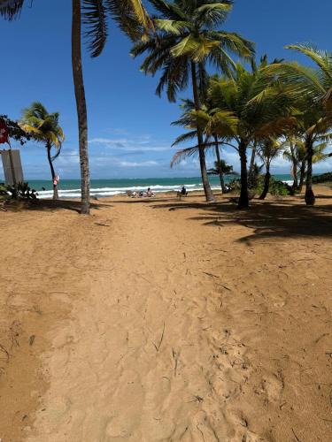 Zarzal Apartment | Caribbean Zen at Bosque Del Mar - Las Picuas - Rio Grande
