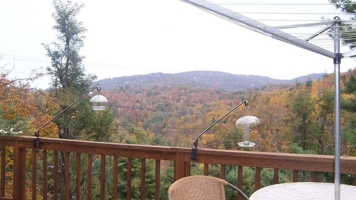Panorama Estates Cabin | Carpathian Cabin-Blowing Rock-Boone-Long Range View-Tweetsie,Hike,Relax,Meditate