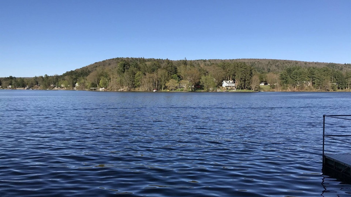 Oneonta House | Carr's Cottage - Cozy Cottage w/King bed on Goodyear Lake