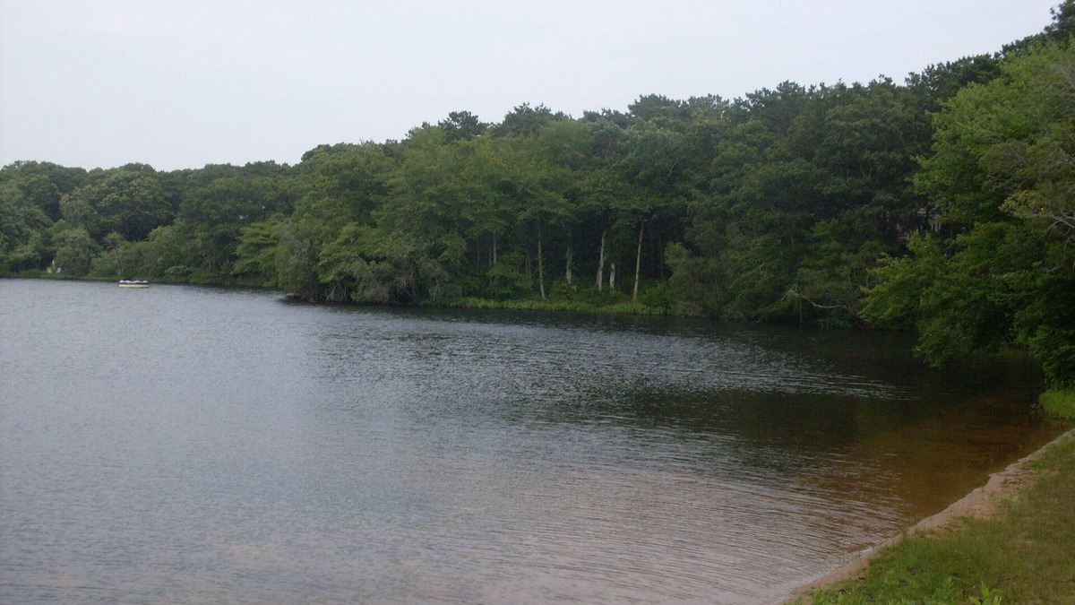 Oak Bluffs House | Carriage House, Swimming, Boating, Kayaking, just steps from your door.