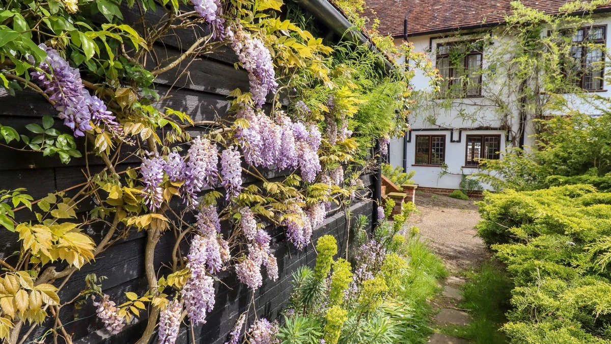 Howlett End Cottage | CART WHEEL COTTAGE, pet friendly, with open fire in Finchingfield
