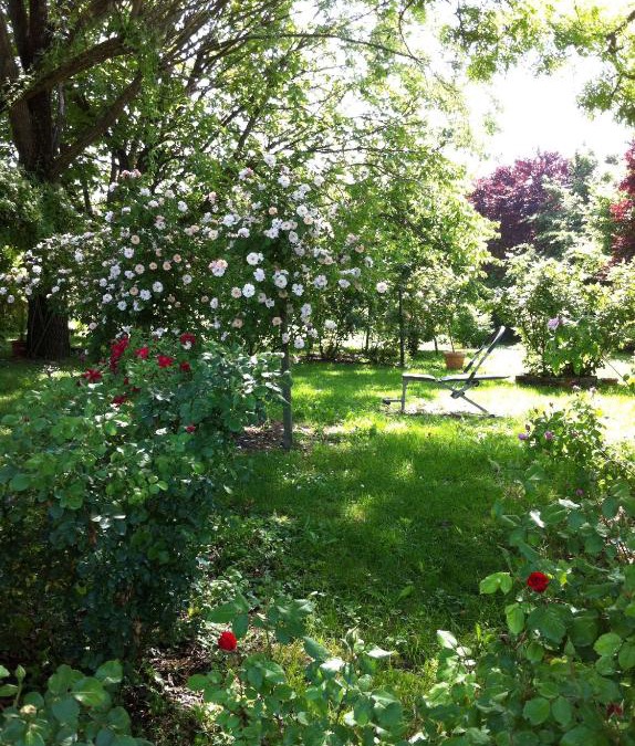 Soliera Bed & Breakfast | Casa a Soliera