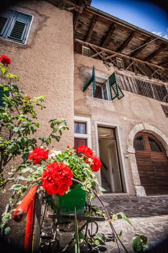 Malosco House | Casa Alice