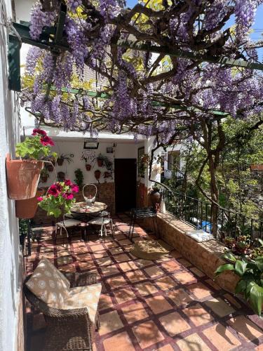 Benalauria House | Casa Almenta - Tu hogar para desconectar en el pueblo más bonito de Málaga