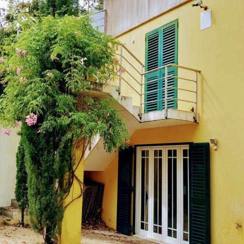 Varzea da Ovelha e Aliviada Villa | Casa Amarante Porto