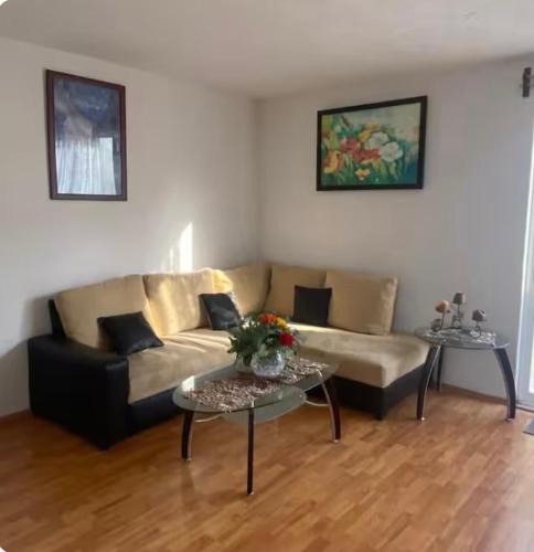Pachuca House | Casa amplia en fraccionamiento tranquilo