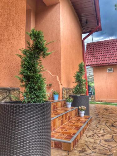 Baia de Fier House | Casa Andra