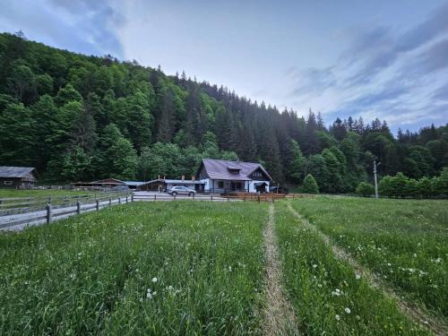 Brosteni Villa | Casa Andreea