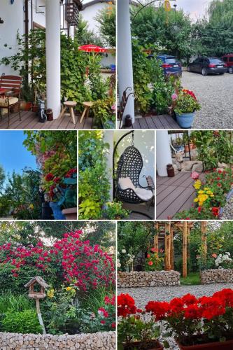 Sinpetru Apartment | CASA ARYAN