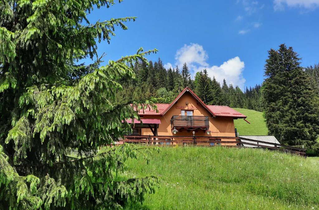 Vatra Dornei House | Casa Aurici Vatra Dornei