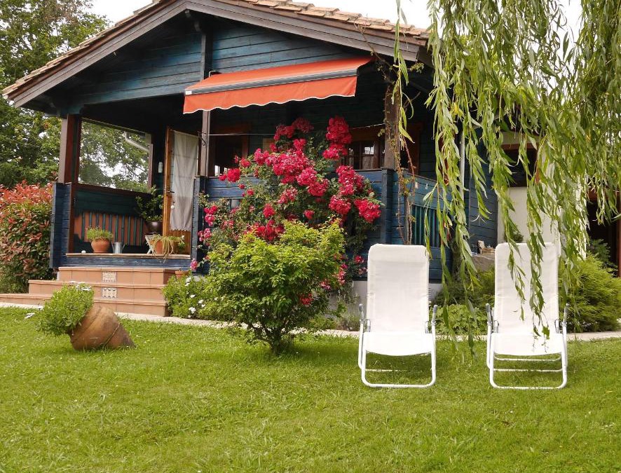 Queveda Apartment | Casa Azul